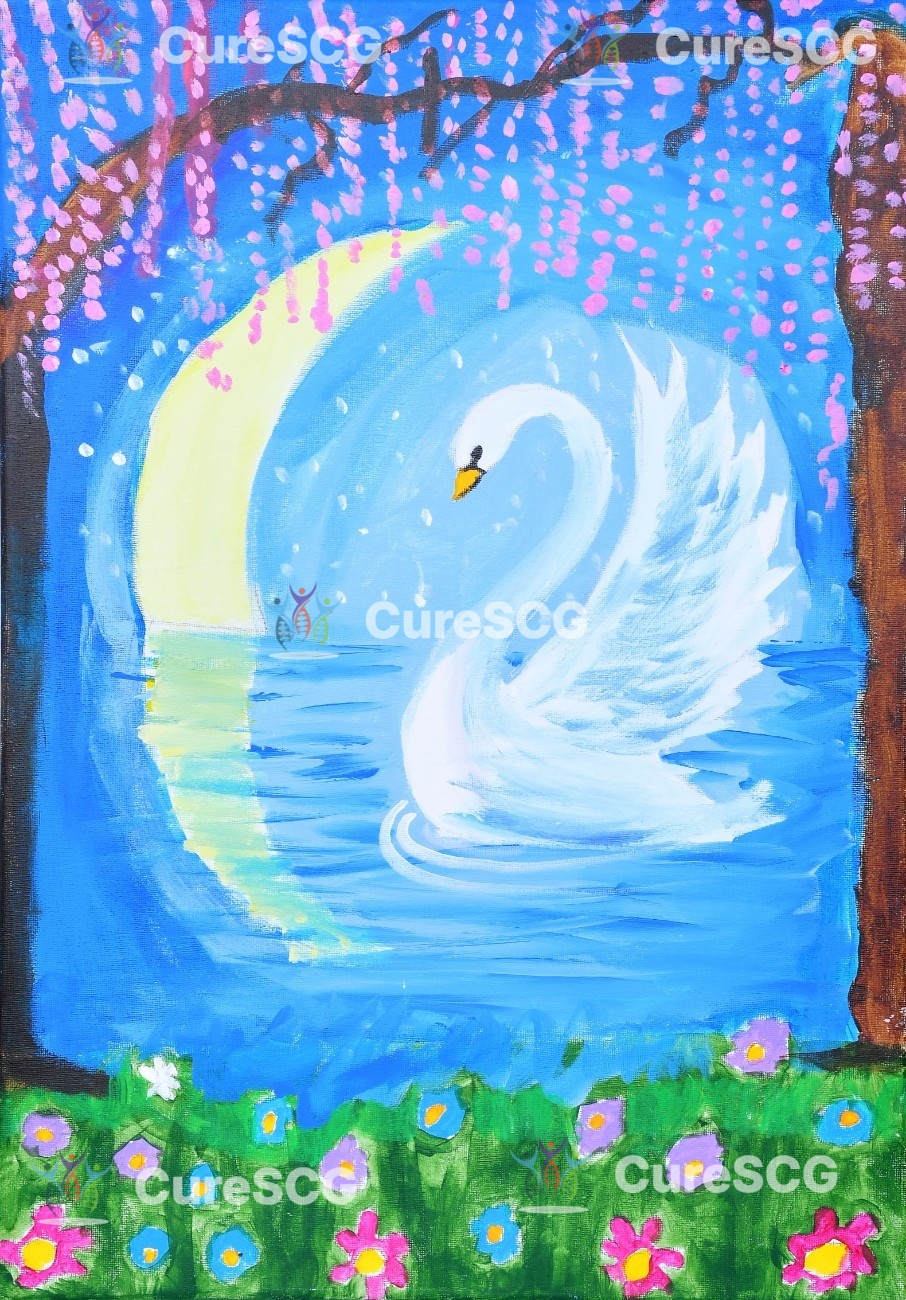 A Swan's dream